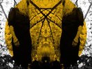 AUSTRA FEEL IT BREAK LP VINYL NEW (US)