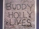 RARE STILL SEALED BUDDY HOLLY LIVES 20 GOLDEN HITS ORIG.1978 12