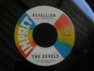 ZZ7 IMPACT 22 GARAGE SURF THE REVELS THE EXILES THE MONKEY BIRD REVELLION HAFNER