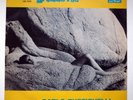 LA CALDA VITA Italian soundtrack 1964 CAM CMS 30-089 RARE LP RUSTICHELLI Erotic