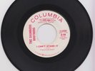 THE CHAMBERS BROTHERS - I Cant Stand It / Please Dont Leave Me