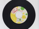 IRON SIDE/ MEDITATION - CYCLONES & COUNT OSSIE (72 REGGAE ROOTS 7