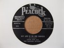 LITTLE AXE & THE GOLDEN ECHOES - MY LIFE IS IN HIS HANDS - PROMO 45