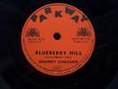 RARE 1961 CHUBBY CHECKER 78 RPM BLUEBERRY HILL / HI HO SILVER PARKWAY PKY 5013