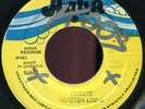 Hopeton Lindo - Tribute JA Aqua 7