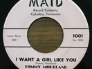 TOMMY MORELAND I Want A Girl Like You/That's You RARE OBSCURE TN DOO WOP TEEN 45