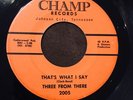 Garage THREE FROM THREE on CHAMP Teenage Shutdown RARE MISPELLED PRESSING