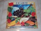Lp + Inserto Ligabue Lambrusco Coltelli Rose & Pop Corn Italy Wea