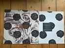 Adrian Borland & The Citizens Brittle Heaven LP Promo Sheet rare Sound Post punk