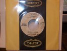 ROCKY & THE BORDER KINGS -- Michoacan (45 / EPIC #10901) This is DOUG SAHM