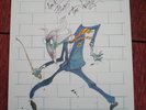 Pink Floyd 