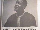 Mr. Shortstuff Big Joe Williams 