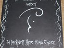 Antisect 'In darkness...' 12
