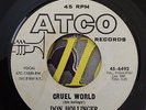 DON HOLLINGER Cruel World ATCO Northern Soul LISTEN