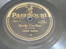 78 RPM Paramount 12501 Papa Charlie Jackson Skoodle Um Skoo/ Sheiks Of Desplaine