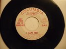 .RORY STORM & HURRICANES / FARRON'S FLAMINGOS : I Can Tell/Let's Stomp.US COL.DJ