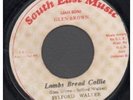 SLYFORD WALKER Lambs Bread Collie 7