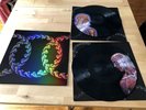TOOL Lateralus  VINYL RECORD PERFECT CIRCLE PUSCIFER PICTURE DISC DOUBLE