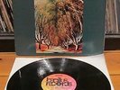 DZYAN - TIME MACHINE - German 1st Press Bacillus / Prog Jazz Fusion / EX LP