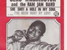 GENO WASHINGTON AND THE RAM JAM BAND She Shot A Hole In My Soul 7