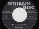 CHANNELS - Whirlin Disc 107 - What Do You Do (fast version) - DOO-WOP 45 VG/VG+