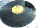 RAMONES ? SUBTERRANEAN JUNGLE ? 1983 M- IN SHRINK STUNNING TOPCOPY 1-23800
