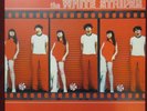 The WHITE STRIPES Same first Album first edition