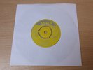Stan's Experimental Chorus/Eno Brebre/Nemp 7