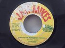 JAH MIKES/DOWN IN THE BOTTOM OF THE WELL  ROOTS REGGAE 45