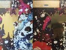 Pink Floyd Piper At Gates Of Dawn US & EU RSD 2 x vinyl LP bundle NEW/SEALED