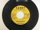 Darryl Vincent “Wild Wild Party” (Sandy) Killer ‘59 Alabama Rockabilly 45 VG++