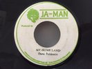 DAVE ROBINSON/MY HOME LAND JA-MAN ROOTS ROCKERS REGGAE 45