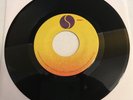 Madonna / ERROR Blank label pressing / Like A Virgin / 7