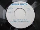 GEORGE WHYTE & THE RIGHTEOUS FLAMES - TEK BUS MEK FUS 7'' HUMAN RIGHTS VG+