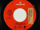 70s Soul 45 - A Brother's Guiding Light - Getting Together - Mercury - mp3