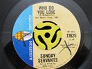 GARAGE ROCK 45-Sunday Servants-Who Do You Love-Audition Records HEAR