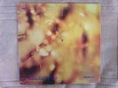 STEAMHAMMER  REFLECTION   VINYL   LP   RECORD  1969  1rst English Pressing  EX
