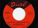 Northern Soul 45 - Magnificent 7 - Never Will I (Make My Baby Cry) - Dial - mp3