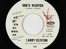 Northern Soul 45 - Larry Clinton - She's Wanted - Dynamo - mp3 - rare