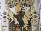 RARE -Eyes Like the Sky King Gizzard and the Lizard Wizard Record - Never Played