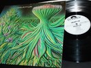 GALAXY LIN  (SHOCKING BLUE) WHITELABEL PROMO SAME FIRST PRESS 1974 DUTCH PROG