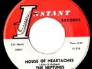 Neptunes  House oh heartaches / Make a memory  MINT