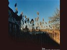 The Cinematic Orchestra-Ma Fleur  (US IMPORT)  VINYL LP NEW
