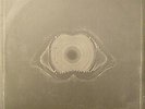 Leftfield - Leftism (Album Sampler) - Hard Hands - 1995 #49899