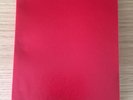 Booji Boy My Struggle, Rare  Book  Mark Mothersbaugh, Devo
