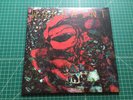 Warpaint The Fool 2 LP vinyl