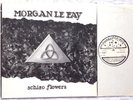 MORGAN LE FAY . Schizo Flowers LP 1.Press 1990 Speed Metal PRIVATE Kreator Sodom