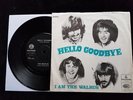 THE BEATLES Hello Goodbye 45/PS Danish Only 1967 Parlophone R 5655 EX