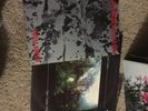 3 Sad Lovers and Giants vinyl LP's: s/t, Epic Garden Music, Feeding the Flame