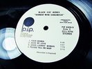 W.L. PROMO = ORIG 1969 = BLACK CAT BONES   BARBED WIRE SANDWICH HARD BLUES Psych